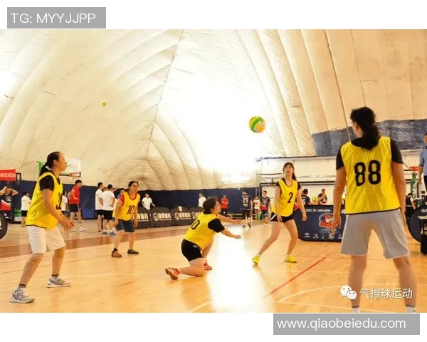 西安排球队比赛经验引发热议球迷观点各异探讨战术与表现